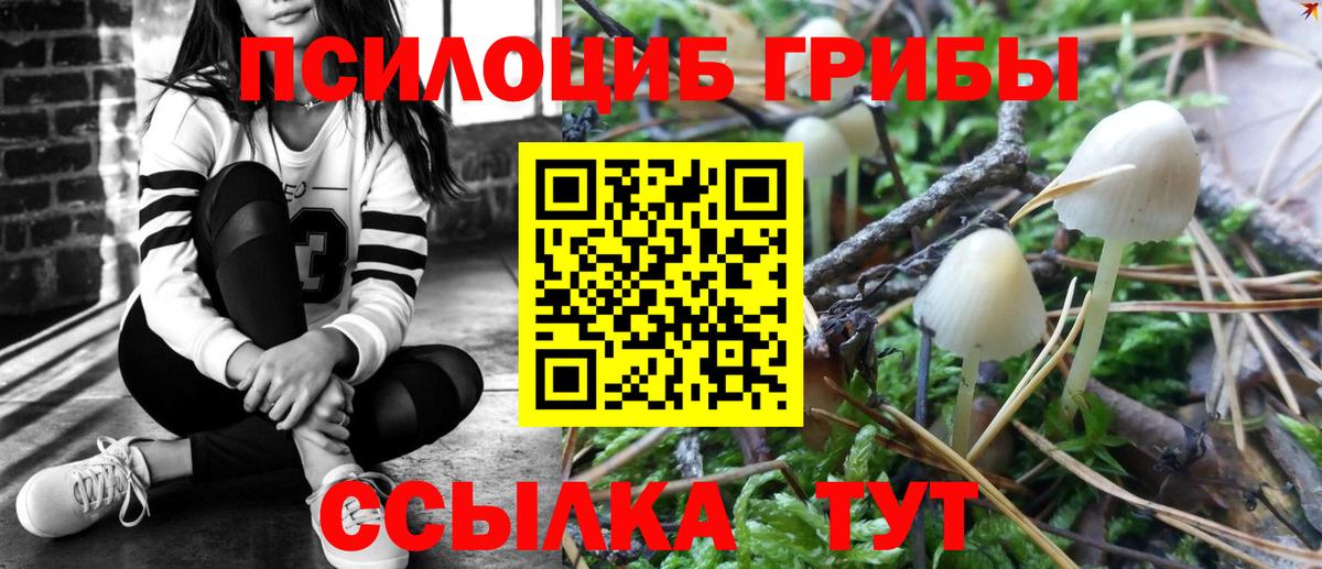 Галлюциногенные грибы мицелий  Вход с VPN  Тамбов 