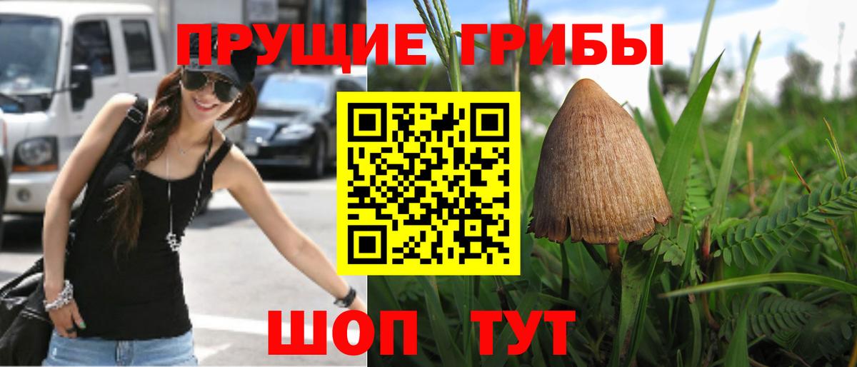 ГАШИШ  МЕФ  Бошки Шишки  Тамбов  Кокаин  Продажа наркотиков  Экстази  Вход с VPN  Меф   A PVP СК  